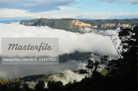 Brume matinale au lac Burragorang, Burragorang State Conservation Area, New South Wales, Australie