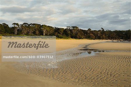 Shore at Anderson Bay, Bridport, Tasmania, Australia