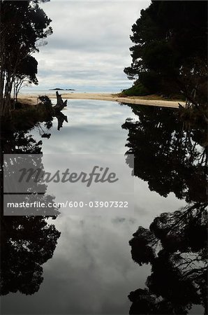 Reflets dans l'eau, plage de sœurs, Tasmania, Australie