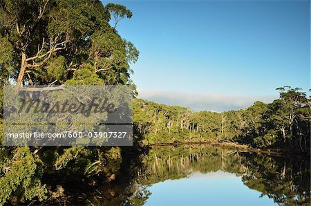 Inglis River near Wynyard, Tasmania, Australia