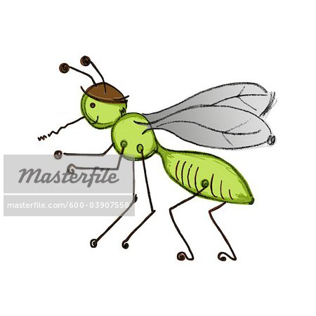 Illustration of Mosquito