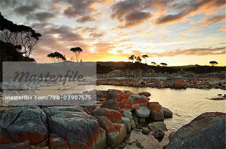 Felsen und Bäume bei Sonnenuntergang, Bucht von Bränden, Tasmania, Australien