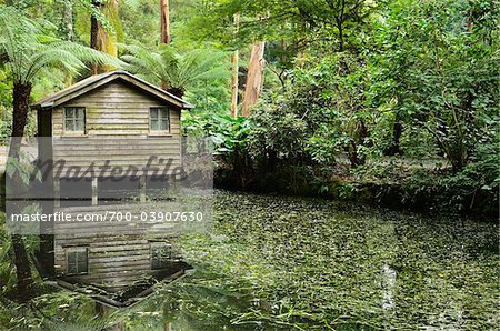 Alfred Nicholas Gardens, monts Dandenong, Victoria, Australie Alfred Nicholas Gardens, monts Dandenong, Victoria, Australie