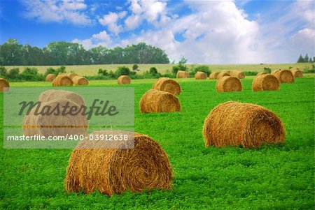 Agricultural landscape of hay bales in a field