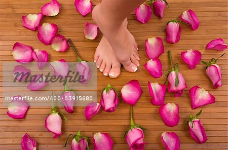 Having spa treatment (pedicured feet surrounded by bright pink roses)