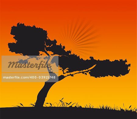 Abstract silhouette of meadow / tree at sunset.