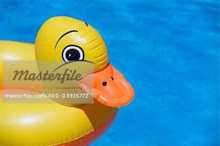 plastic duck floating in a swimming pool