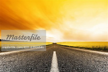Road travelling through a Canola Field at Sunset