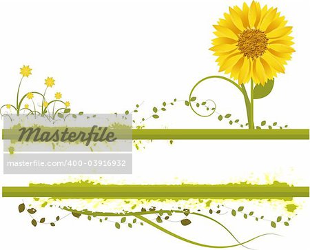 Vector- Floral grunge with sunflower, vines and grass. Copy space for text.