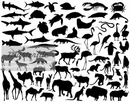 Collection of diverse animal vector silhouettes
