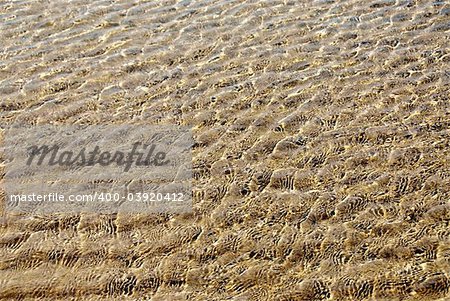 Background of shallow water surface with ripples