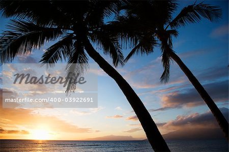 Sunset sky framed by palm trees over the Pacific Ocean in Kihei, Maui, Hawaii, USA.