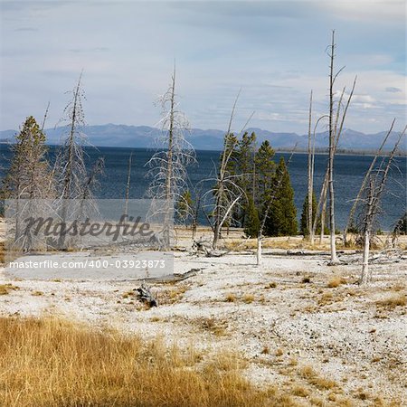 Barren shoreline at Yellowstone National Park, Wyoming.