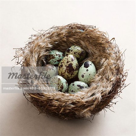 Studio still life of speckled eggs in nest.