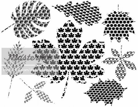 Jeu de dessin de la feuille vecteur de la silhouette de la feuille