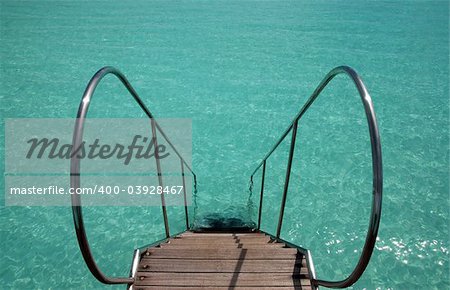 ladder into the turquoise indian ocean