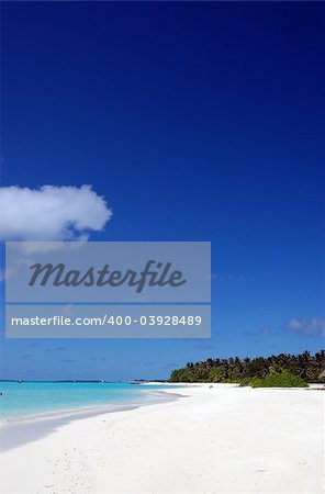 tropical beach on the maldives with white sand coconut palm tress and turquoise water