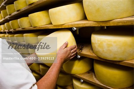 Man inspecting cheese drying in a dairy, Pico Island, Azores, Portugal
