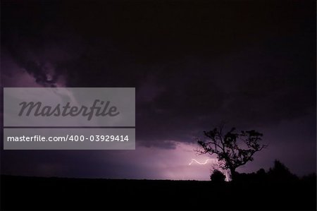 Storm with a tree