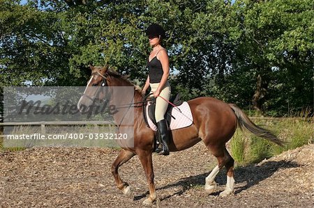 Young woman in riding gear sitting upright on a welsh section d horse with trees and blue sky to the rear.