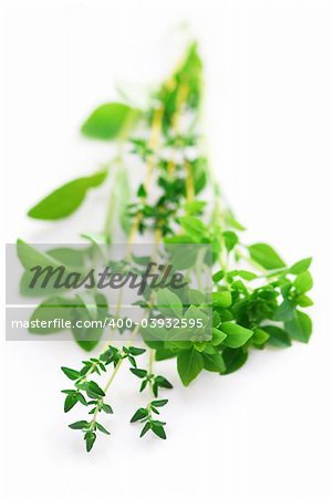 Bunch of fresh assorted herbs  - basil, thyme, oregano - on white background