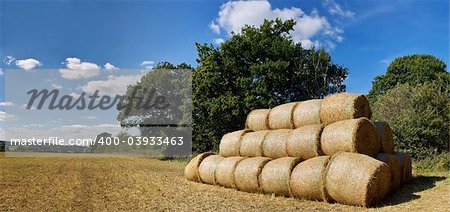 farmland cornfield after harvest. PLEASE NOTE:- file EXCLUSIVE to and only available on SNAPVILLAGE website