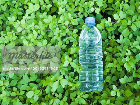 small plastic bottle of clear mineral water in the natural very fresh  green leaves background