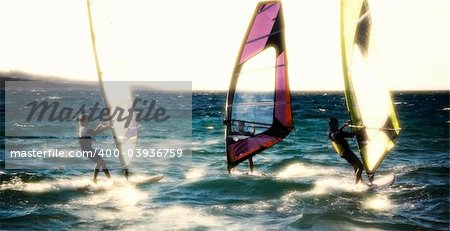 summer sports: windsurfers speeding fast