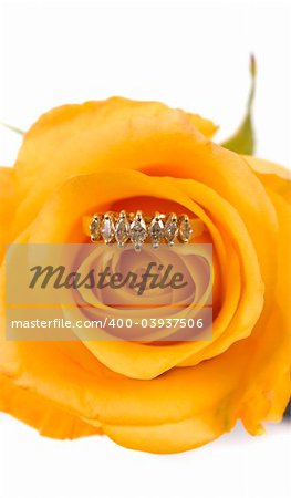 Yellow rose with diamond ring