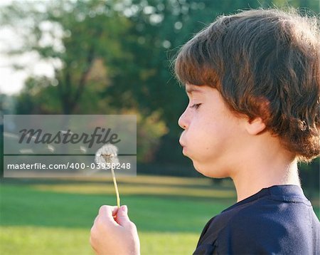 Boy Blowing Seeds of a Dandilion in the Morning Light