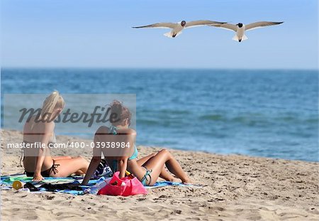 Couple girls in a bikini and two seagulls with funny expressions