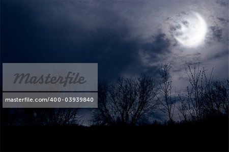 autumn night forest alight with bright moon in clouds