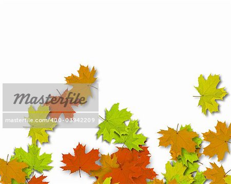 Autum Background with colorful fall leaves falling down from tree