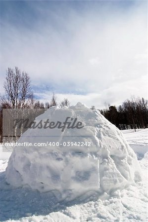 Igloo detail image in a snowy landscape