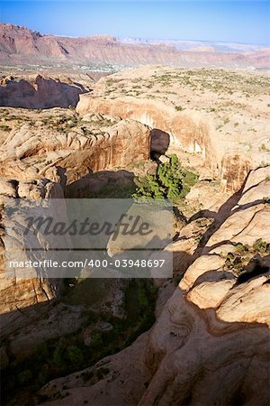 Aerial of desert canyon landscape in Utah, USA.
