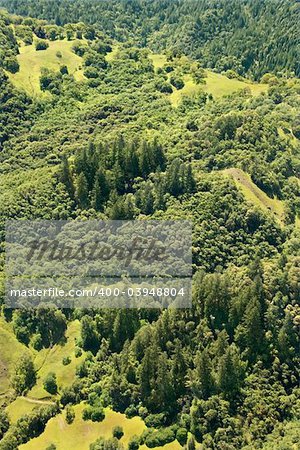 Aerial of lush mountainous landscape with trees.