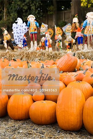 Group of pumpkins sitting on ground at farmers market with yard decorations in background.
