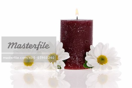 Daisies and a candle isolated