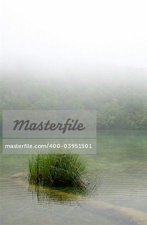 Landscape of a peaceful  river on a foggy day