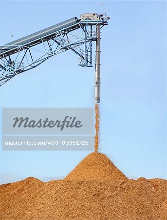 Pile of pouring wood chips