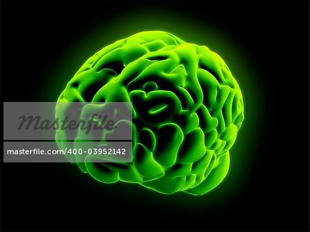 3d rendered anatomy illusration of a green human brain