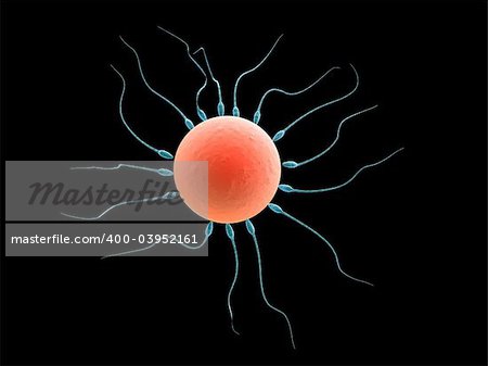 3d rendered close up of a human egg and sperms