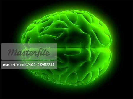 3d rendered anatomy illustration of human brain from the top