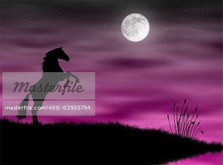 Wild horse silhouette in a pink moonlight