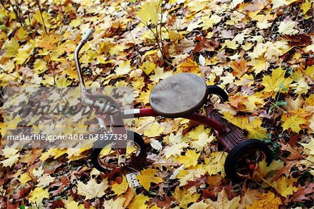 Bicycle parked amongst autumn leaves