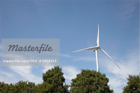 Wind Turbine and Tree Tops, Hamburg, Germany