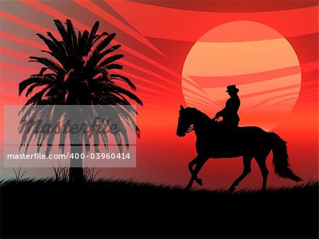 Wild horse silhouette in a red sunset