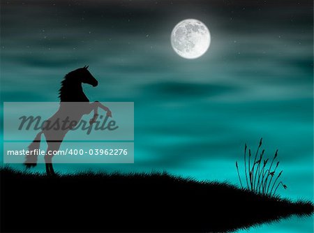 Wild horse silhouette in a blue moonlight