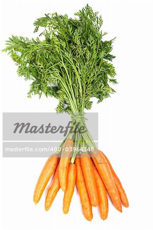 Bunch of fresh carrots with soft shadow on white background
