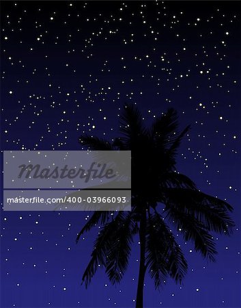 Editable vector illustration of a palm tree under the stars at night